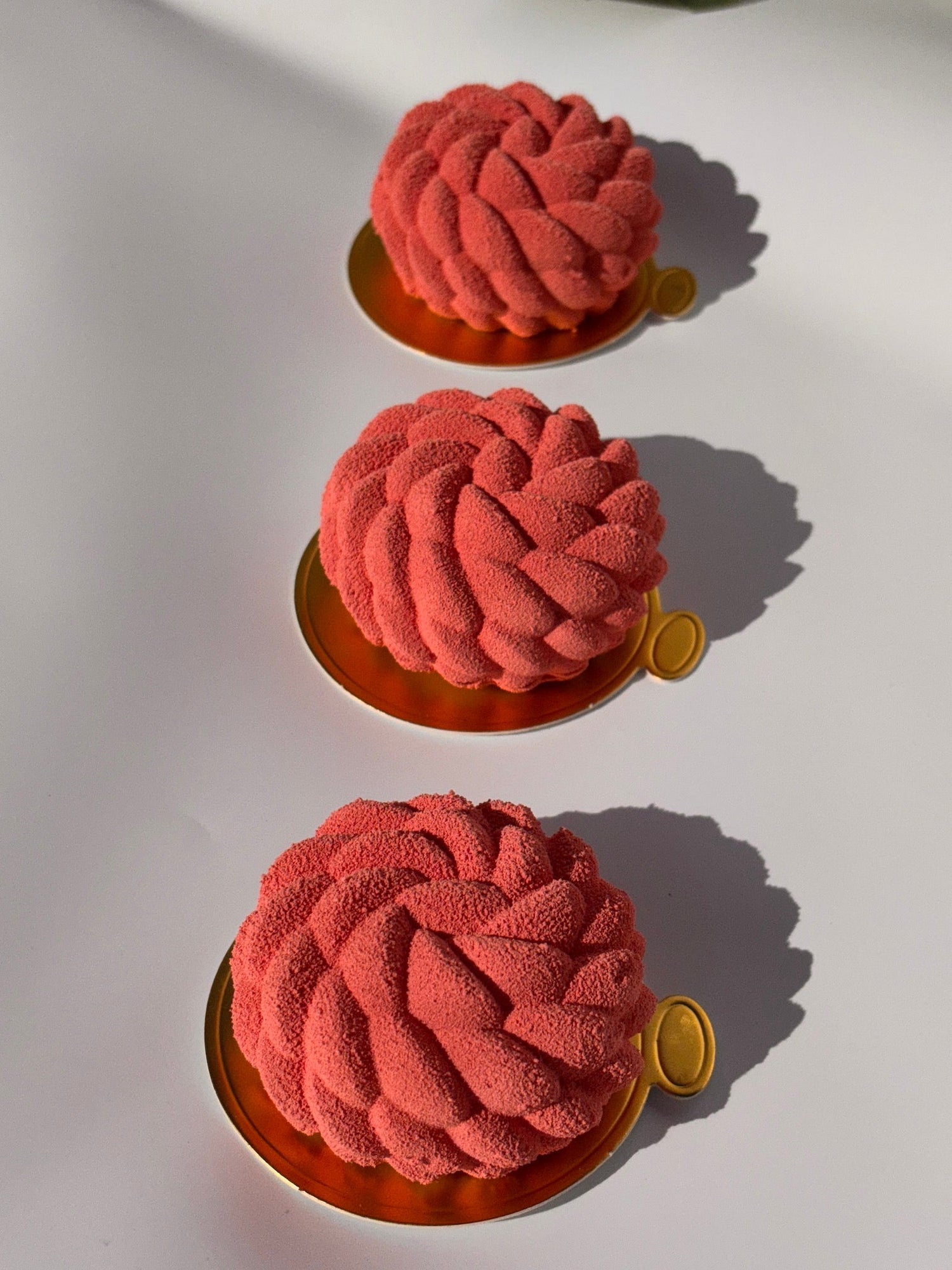 Mini Entremet